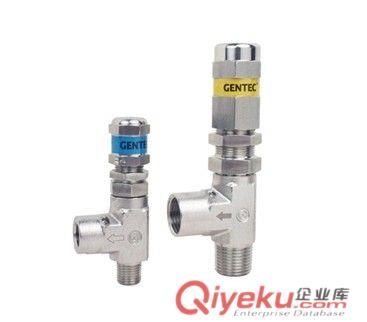 进口小型高压安全泄压阀