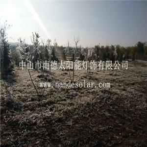 宁夏银川兴庆区太阳能路灯市政工程