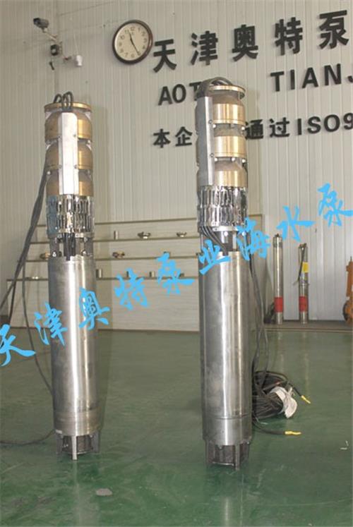 供应海水专用耐腐蚀潜水泵,不锈钢海水泵专业加工使用有保证