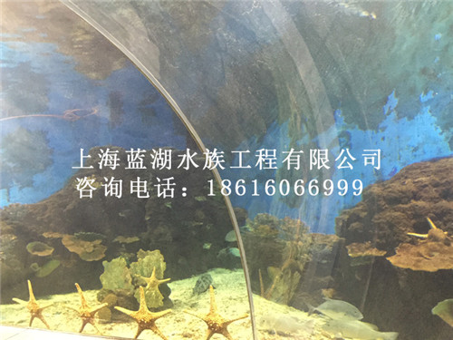 海洋馆整体设计规划/定做亚克力鱼缸 