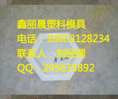 【鑫丽晨】六角护坡模具|塑料模具厂家