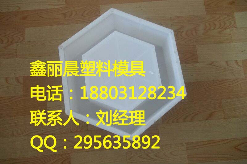 鑫丽晨【塑料护坡模具加工】塑料模具厂家