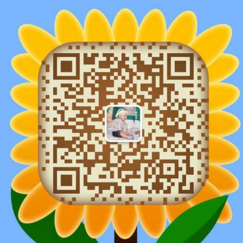 慈溪铁杆山药批发价格
