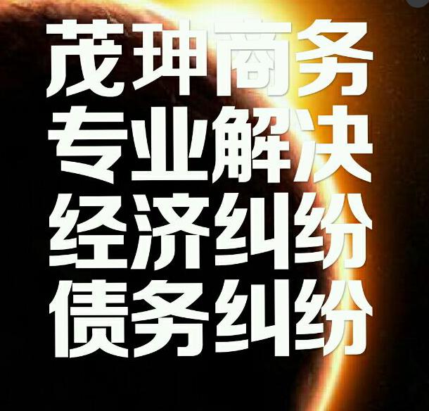 专业收数公司