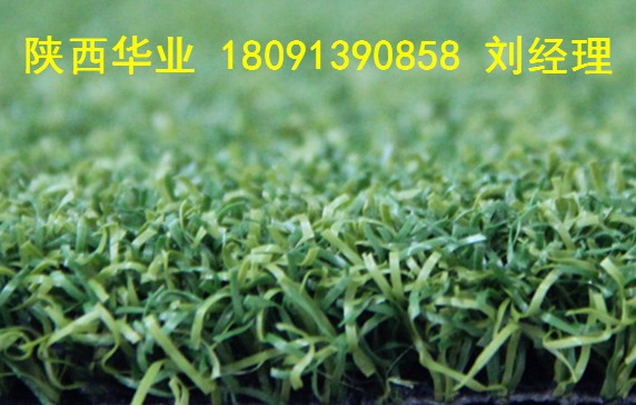 甘肃塑料草皮价格