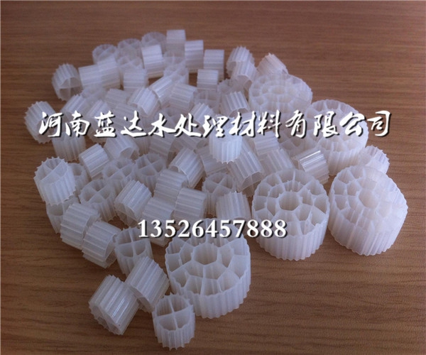 黑河生物悬浮填料_MBBR工艺填料_哪有卖的