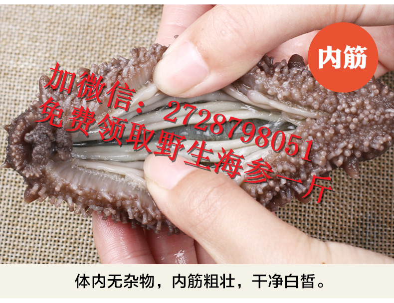 海参怎么吃最有营养_吴川野生海参多少钱一斤