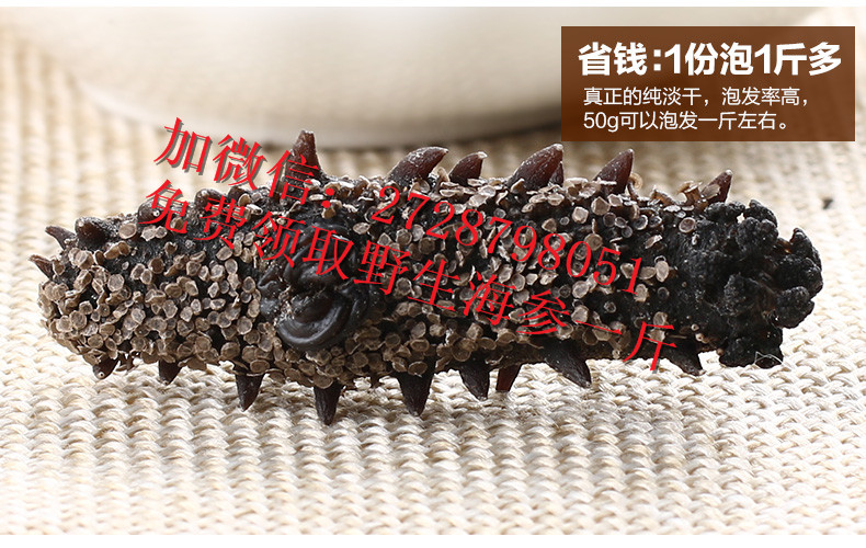 海参的功效与作用_葫芦岛野生海参什么价格