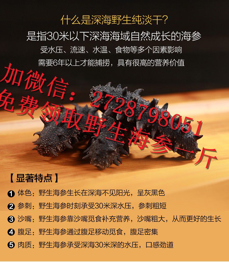 干海参_上虞淡干海参多少钱一斤