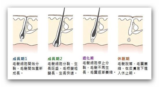 广州新一代FUE自体毛发移植技术，开课了