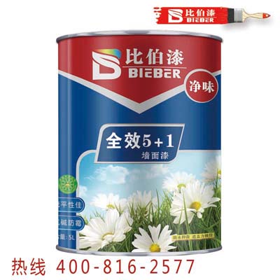 全效5+1净味漆 全效5+1净味漆批发 全效净味漆