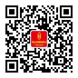 专业的儿童游城策划企业哪里有-知名的策划咨询公司推荐15920550789