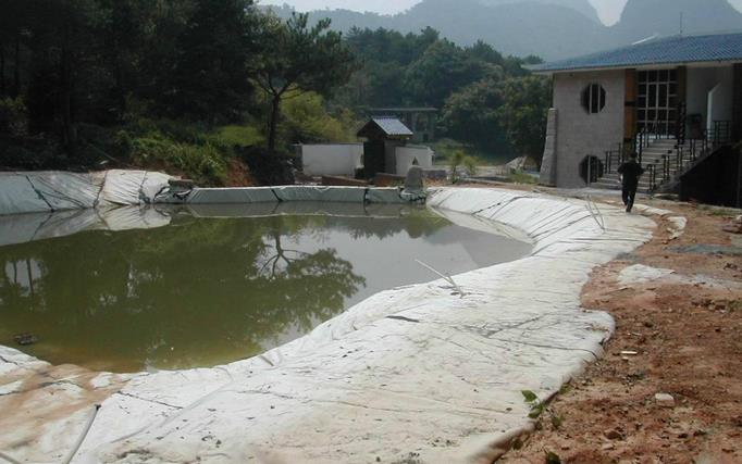 MBP-P高分子自粘胶膜防水卷材（非沥青基）