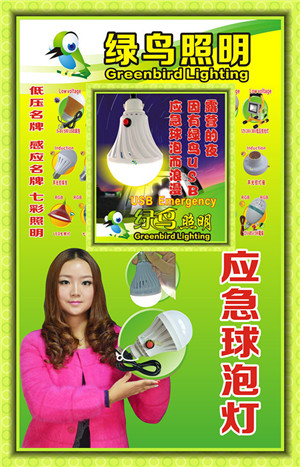 绿鸟照明马来西亚5V-6V应急LED 7W8元制造厂家