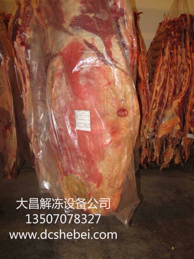 猪肉二分体解冻设备，猪肉二分体解冻机价格