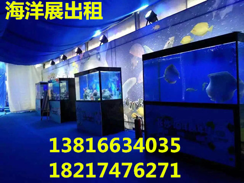 上海市哪家海洋展出租公司专业