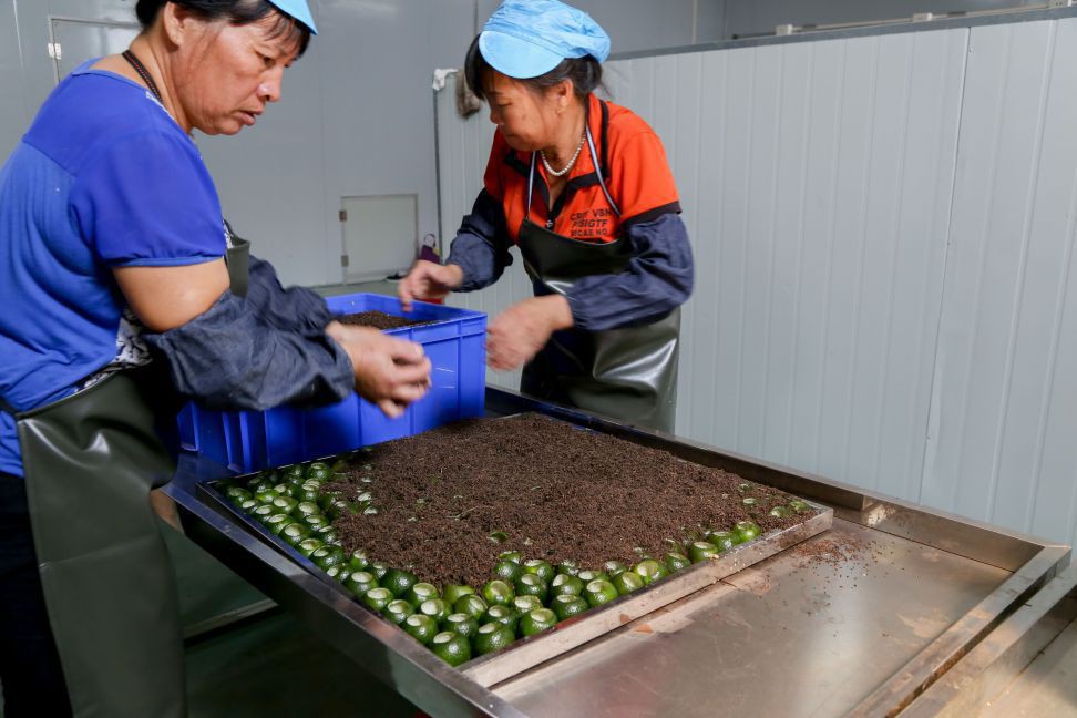 澜沧柑普茶代加工、批发、零售｜紫云斋柑普茶厂家