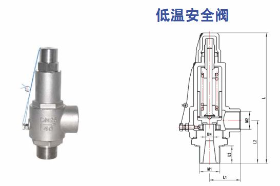 進(jìn)口低溫液氮安全閥