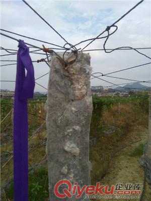 防鳥網價格_畢節市山雞圍網