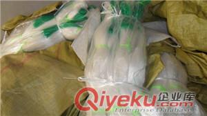 福州市豌豆網_苦瓜網_爬藤網