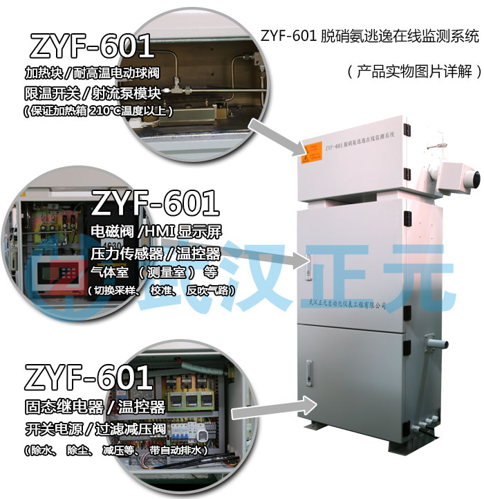 廠家直銷武漢正元氨逃逸在線監(jiān)測(cè)系統(tǒng)ZYF-601