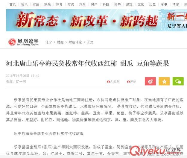 樂亭代收西紅柿/西紅柿代收/唐山西紅柿代收/唐山西紅柿代辦