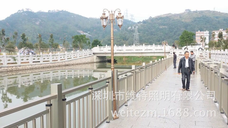 供應外歐式庭院燈景觀燈別墅花園道路燈LED燈鑄鋁雙頭庭院燈原始圖片2
