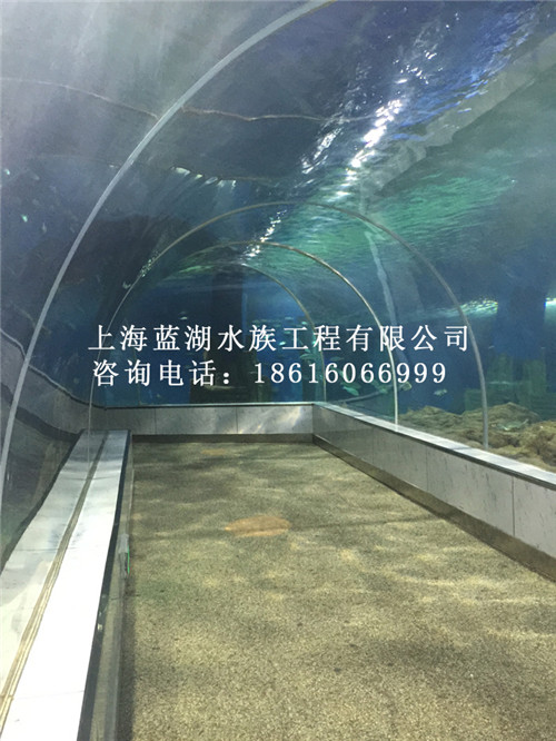 水族生物供給/定做大型魚缸廠家  