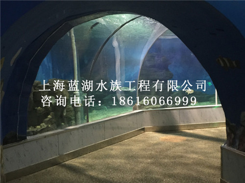 水族生物供給/定做大型魚缸廠家  