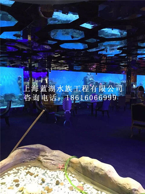 中小型海洋館/定做大型亞克力魚缸