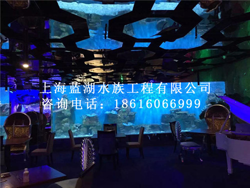 中小型海洋館建造/投資海洋館要多少錢