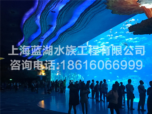 海洋館水族館管理/海洋館隧道/海洋館設計師