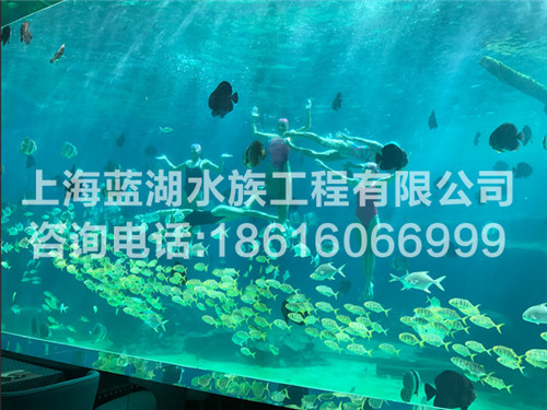 海洋館市場分析/海洋館設計/施工海洋館工程/海洋館設計方案