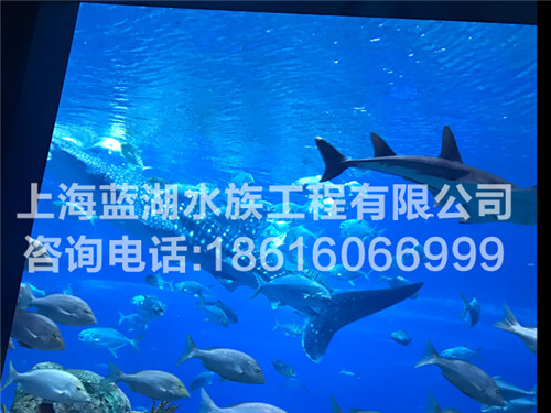 海洋館設計規劃/海洋館設計圖/海洋館設計要有童趣嗎