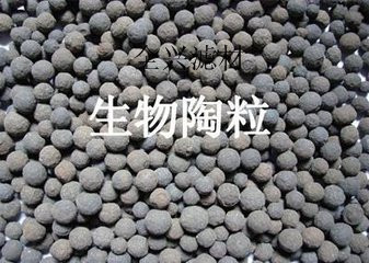 濟南生物陶粒濾料性能指標國家標準 山東生物陶粒生產(chǎn)廠家原始圖片2