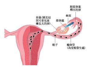 得了y d炎很严重怎么办