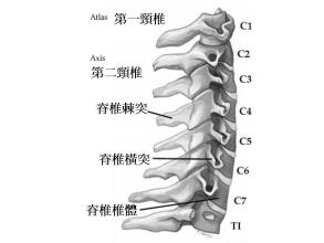 颈椎病有哪些症状