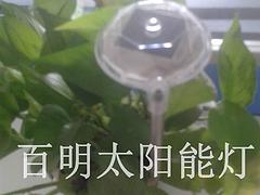 泉州太阳能灯哪家好_福建具有口碑的太阳能草坪灯服务商