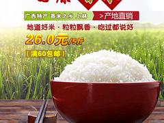 新品上林gd香米推薦——南寧農(nóng)副產(chǎn)品貨源