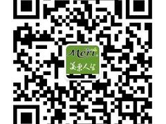 美栗人生丝瓜皂鼠尾草精油增加皮肤免疫多少钱——有信誉度的美栗人生丝瓜皂鼠尾草精油增加皮肤免疫在哪里可以找到