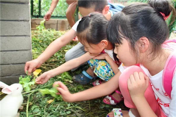 常宁宫_信誉好的夏令营机构|西安暑期夏令营