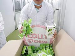 泰國Colly葉綠素代理報價|安徽泰國Colly葉綠素