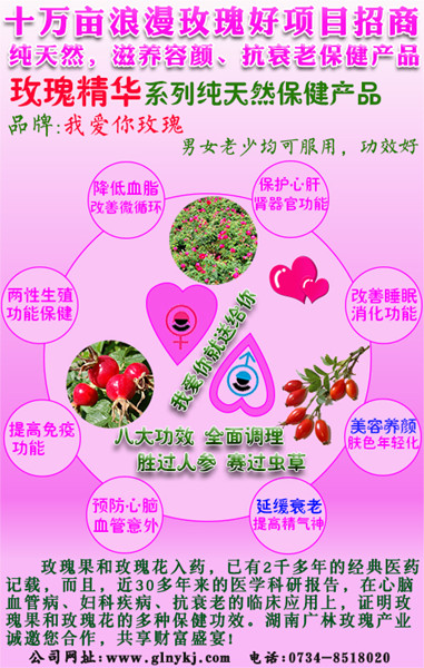 廣林玫瑰0風(fēng)險(xiǎn)0起步創(chuàng)業(yè)加盟微商代理，玫瑰幫你賺大錢保健品招募微信銷售總監(jiān)，潛力投資玫瑰叫你做微商