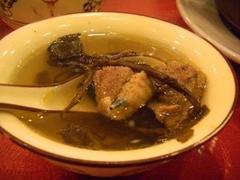 供應 金線蘭：想買報價合理的金線蓮，就來福閩珍海味