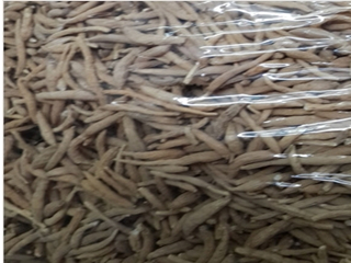 寧德哪里太子參比較實惠——漳州太子參價格