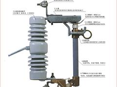 供应温州地区厂家直销跌落式熔断器_安徽跌落式熔断器