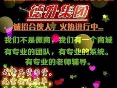 哪家公司提供{yl}的德升时装商城：微商城加盟