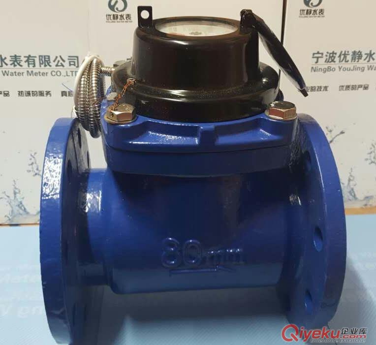 LXY-200～500數(shù)字遠(yuǎn)傳水表 RS485光電遠(yuǎn)傳水表