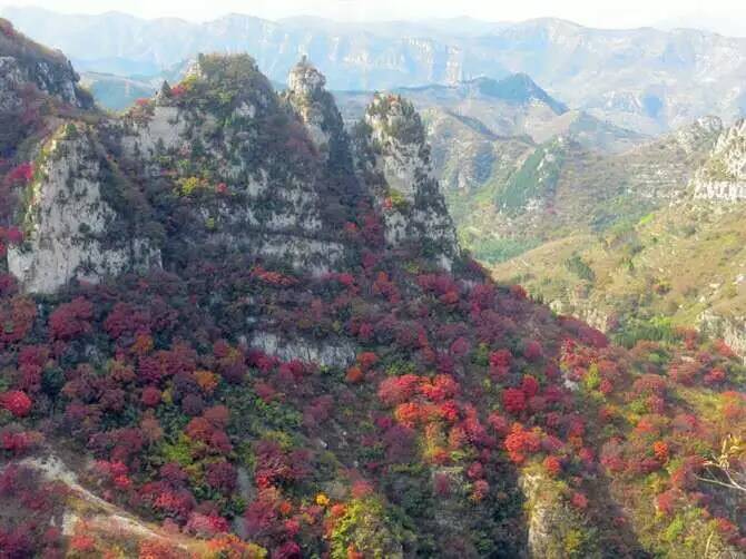 專業、又省錢！找泰鑫山莊寫生基地！