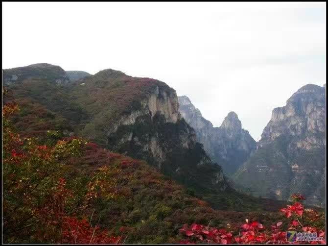 【看過來】美術寫生培訓基地||美術寫生好去處@泰鑫山莊